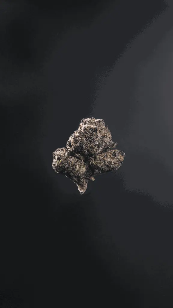 Blaze Muay Thai.webp