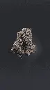 White Caviar.webp