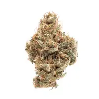 [4A] Gogurtz - M