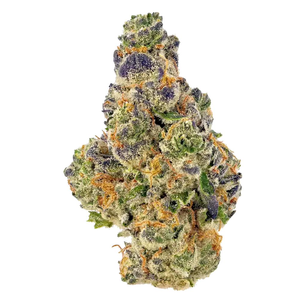 Mochilato