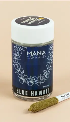 Mana Blue Hawaii - Dog Walker