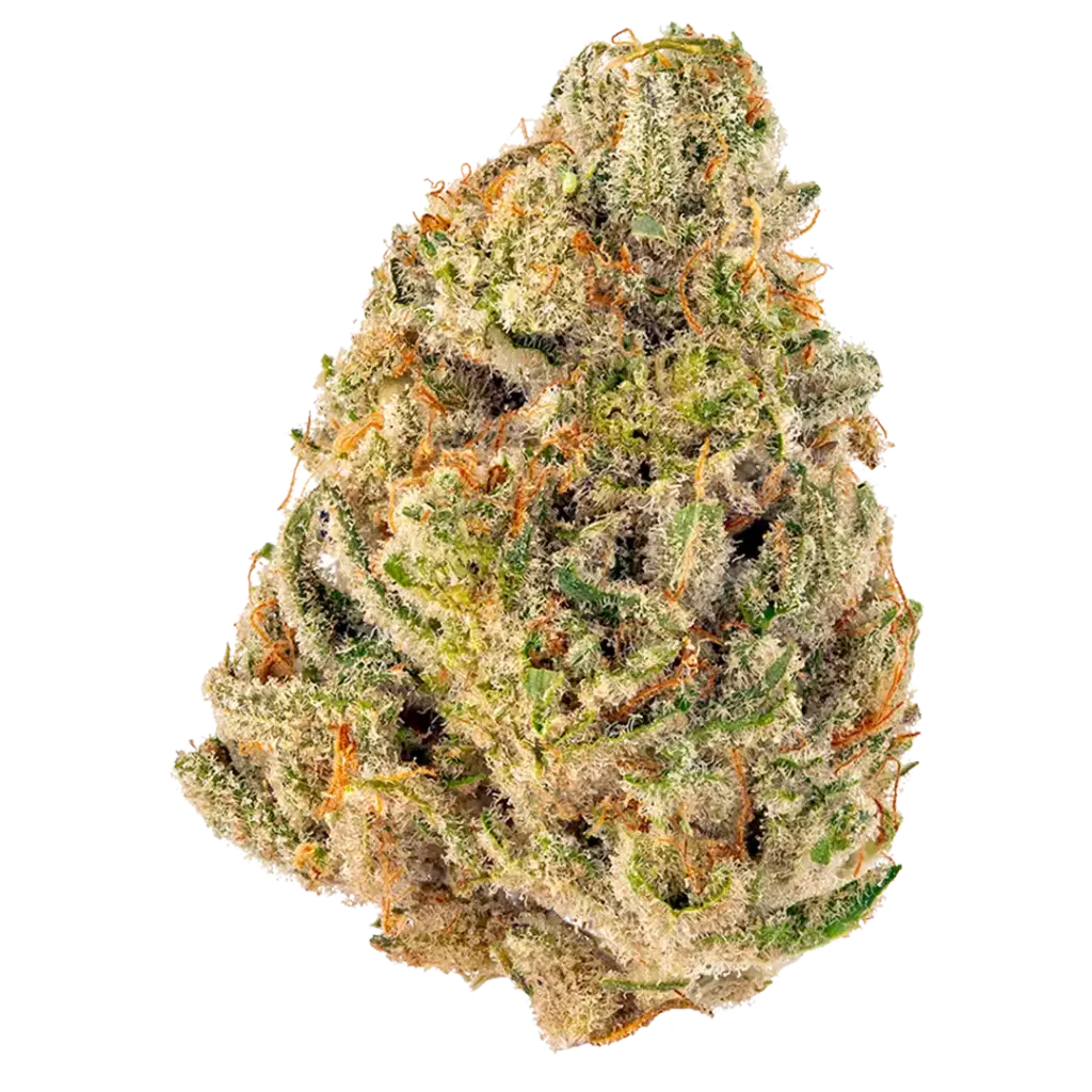 Tropicana Cherry - S