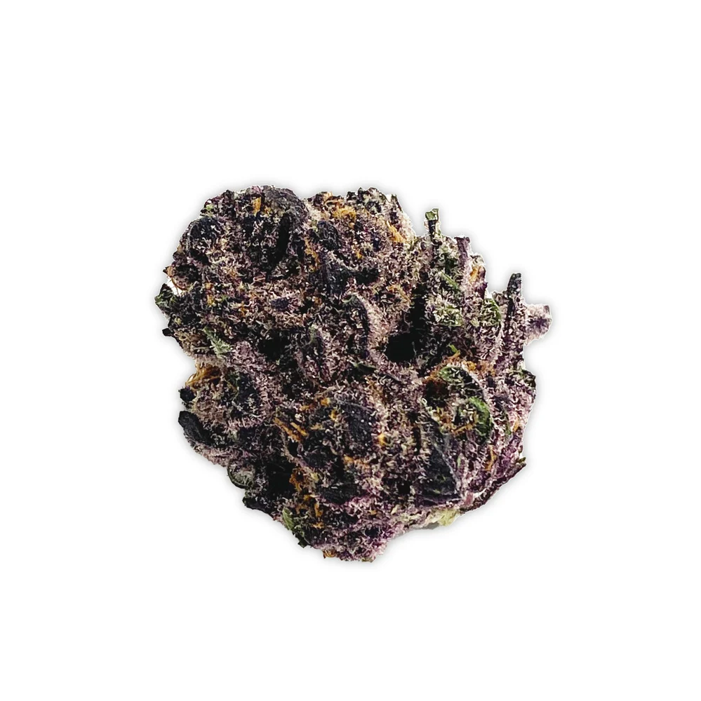 Tropicana Cherry - S