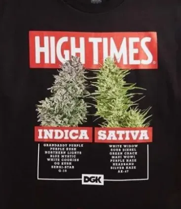 [T-SHIRT] T-Shirt DGK Hight Times (Extra Large)