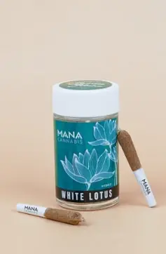 Mana White Lotus - Dog Walker 