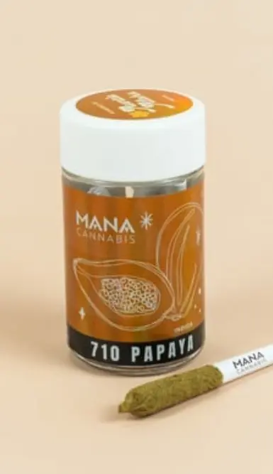Mana 710 Papaya - Dog Walker 
