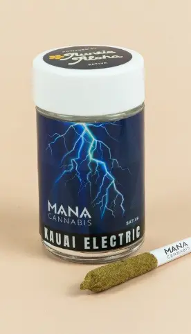 Mana Kauai Electric - Dog Walker 