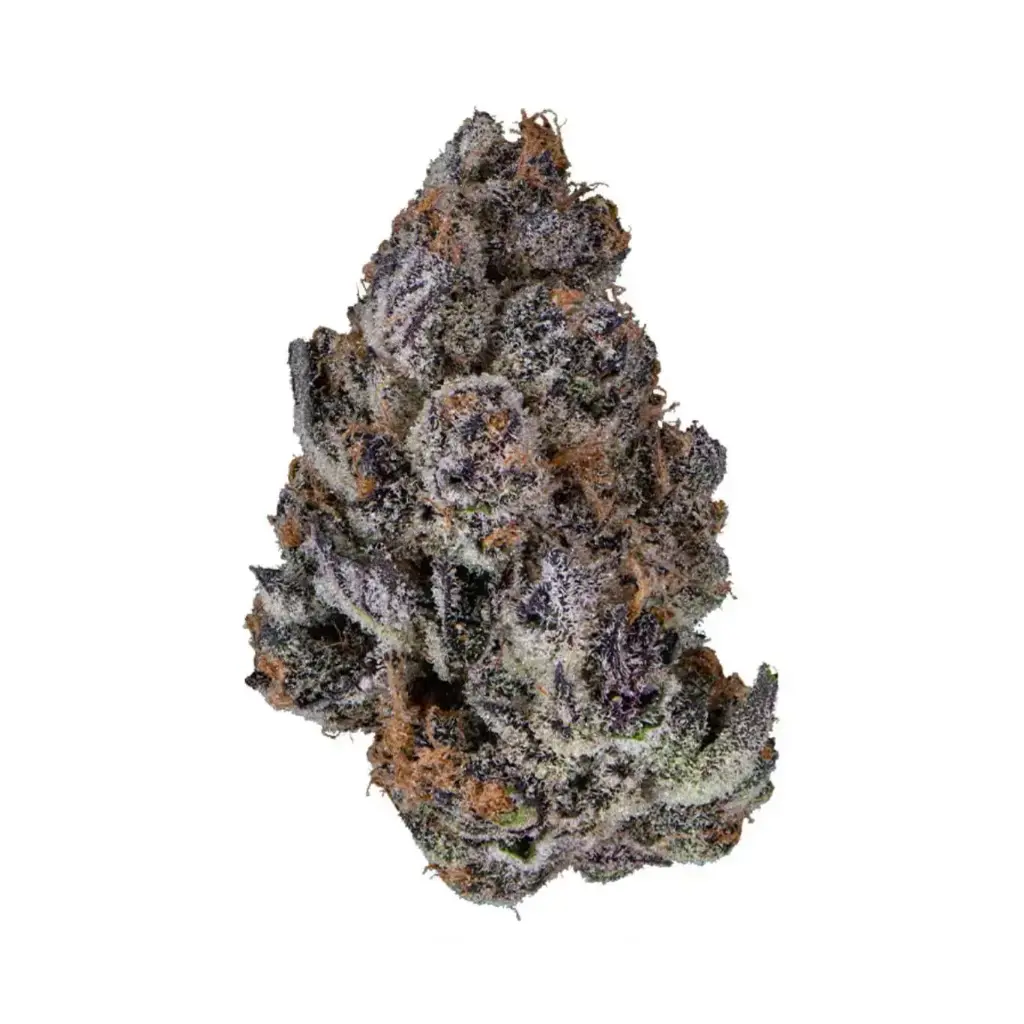 Super Boof Cherry - M