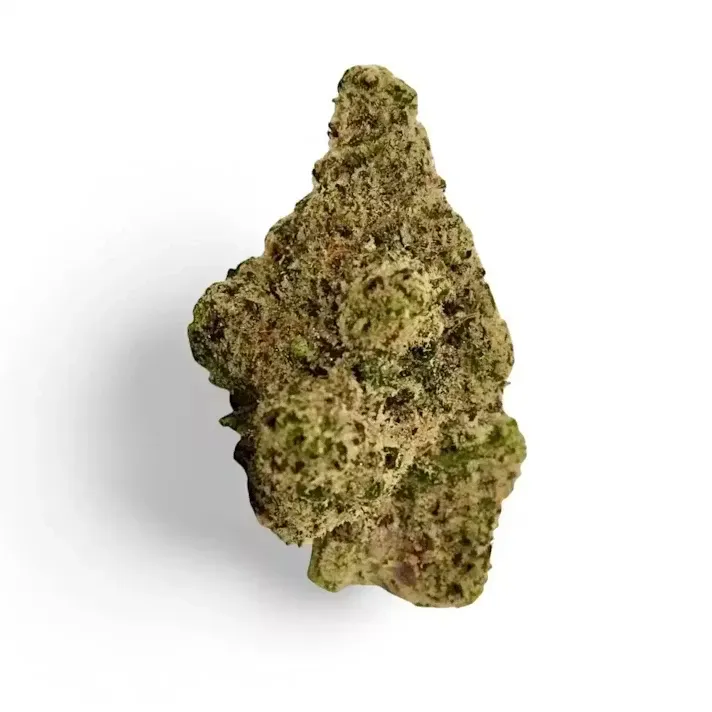 [5A] Alien Marker