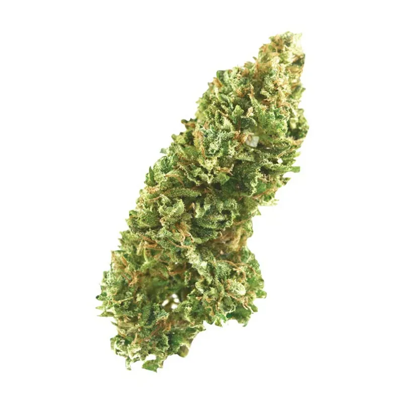 Wild Thai