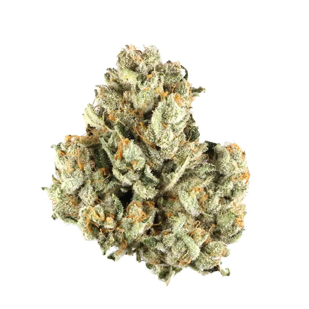 [4A] Colombian