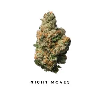 Pink grapefruit - S
