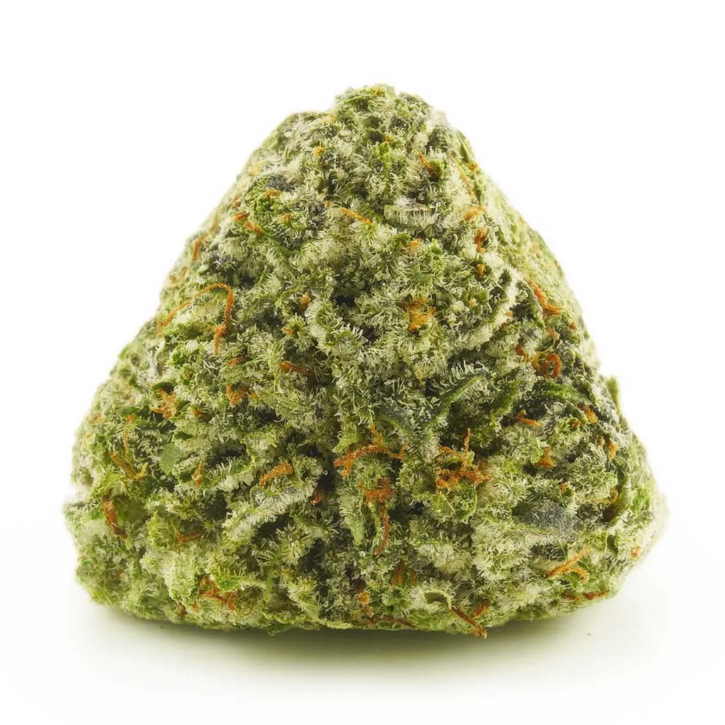 [3A] Banana Daddy