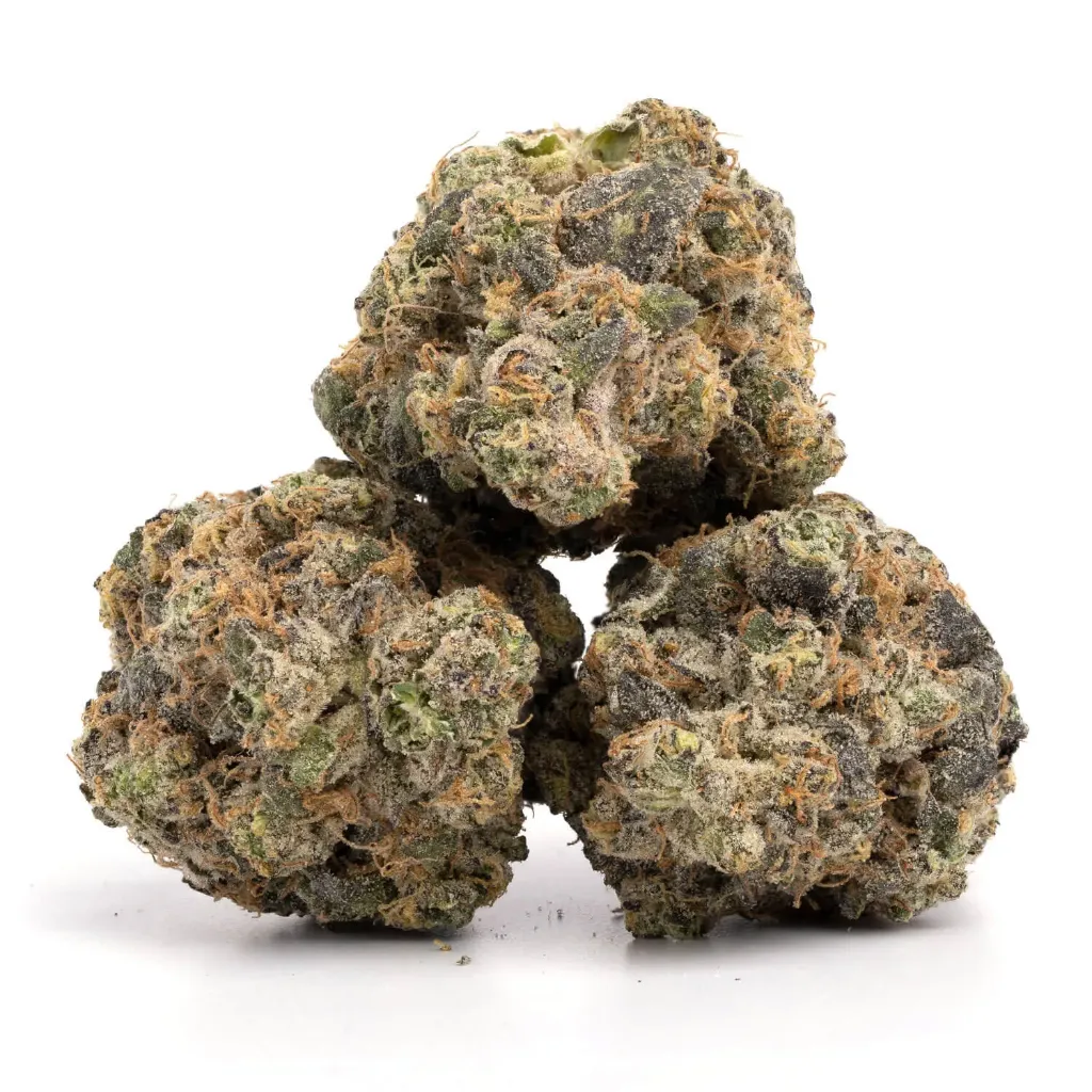 [4A] Lemon Cherry Gelato - M