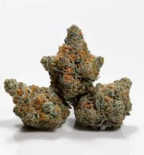 [BUDS] 5280