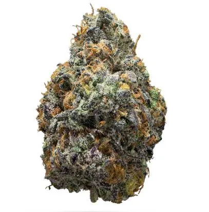[BUDS] Route 65