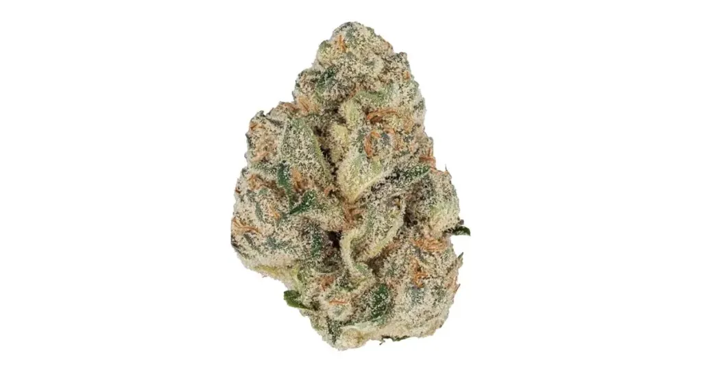 [BUDS] Grape Funk