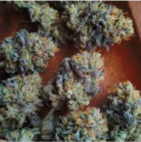 Blueberry Pie