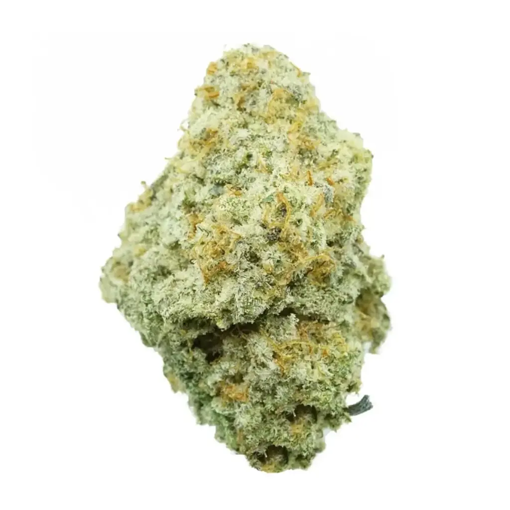 [5A] MAC 1