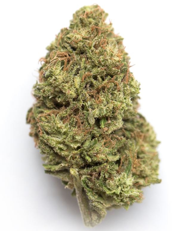 Rainbow Gelato