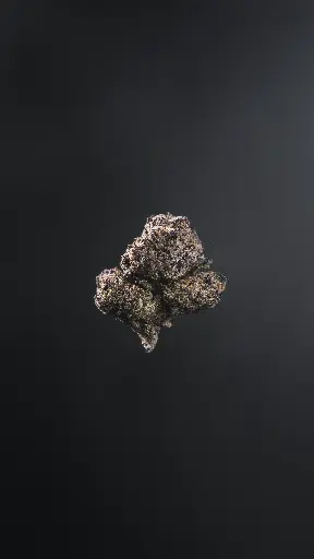 [5A] Blazed Muay Thai