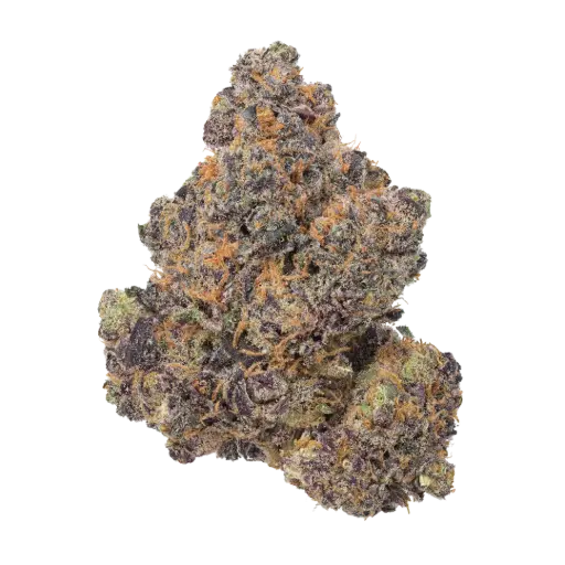[5A] Bottom Bird