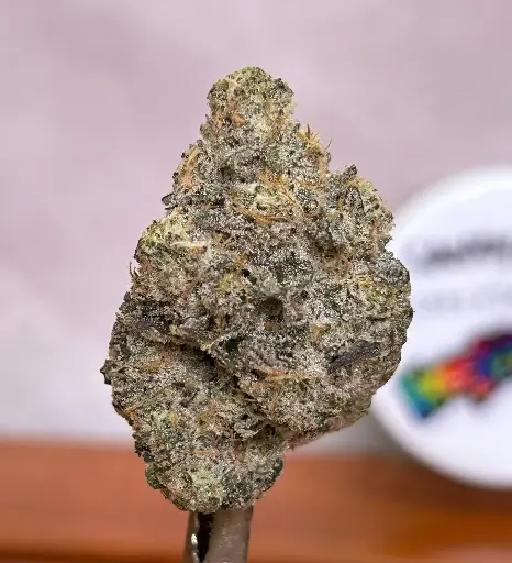 [4A] Candy Man