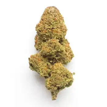 [5A] Lemon Cookies
