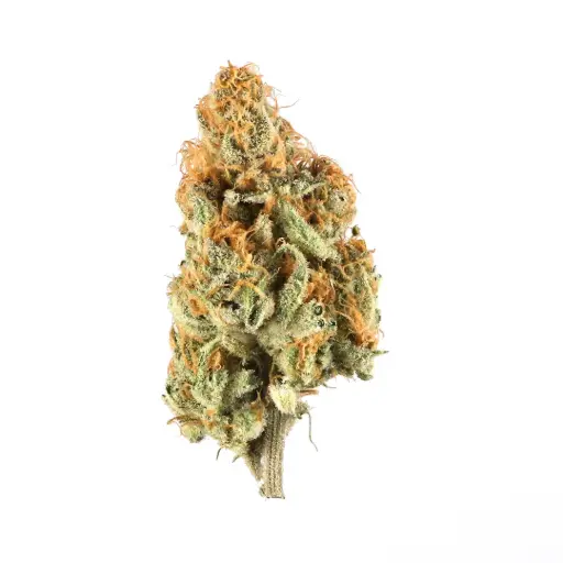 [CBD] CDB Kush