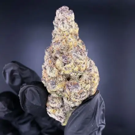 [BUDS] Devil Cherries