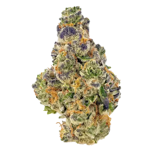 [4A] Mochilato