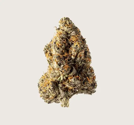 [3A] Tropicana Cherry - S