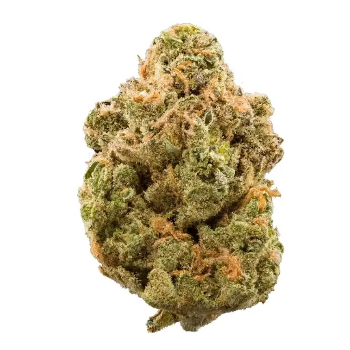 [5A] King Cherry