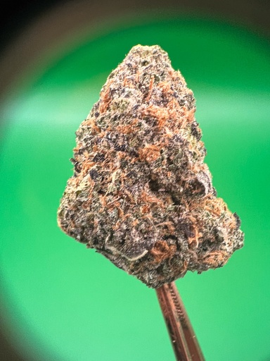 [5A] Blue Dream