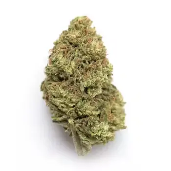 [3A] LA Kush x Zkittlez